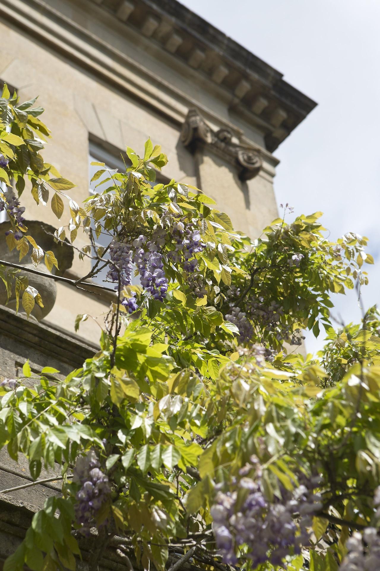 Bailbrook House Hotel, Bath Exterior photo